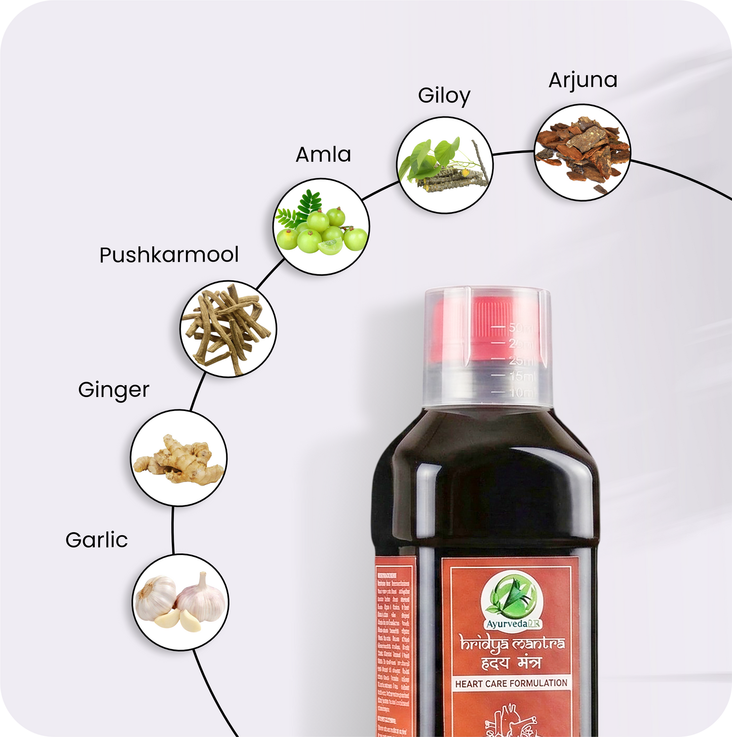 Hridya Mantra Combo — Natural Support for Heart Health & Cholesterol Balance