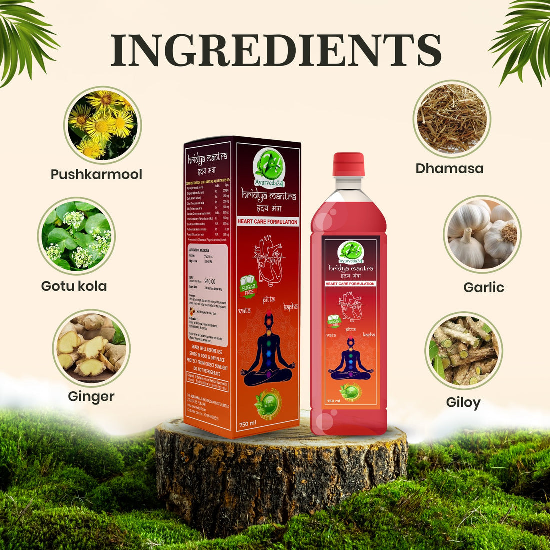 Hridya Mantra Combo – Best Ayurvedic Medicine for Heart Blockages & High Cholesterol